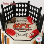 UFC Themed Cake