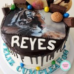 Drip Cake with edible picture on top