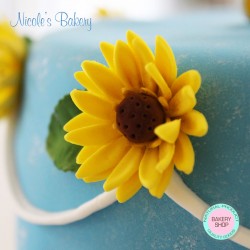 Cake with Daisies